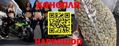 PSILOCYBIN Северобайкальск